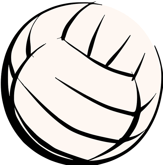 volleyball 307323 640